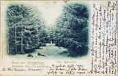 Postcard to I. Franko, 1901
