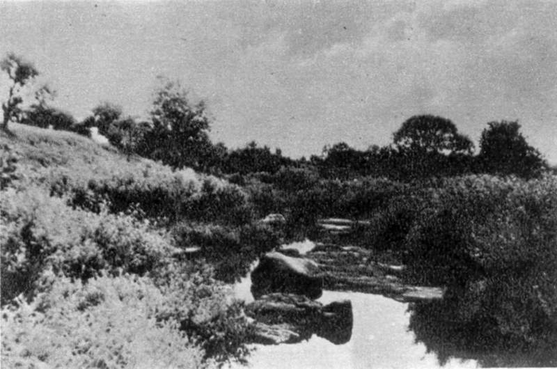 View of Gnylusha river in Zhaborycja