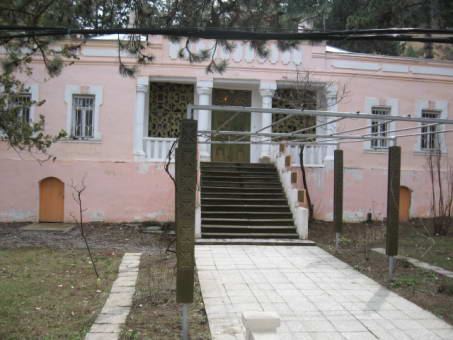 Museum of Lesja Ukrainka in Surami